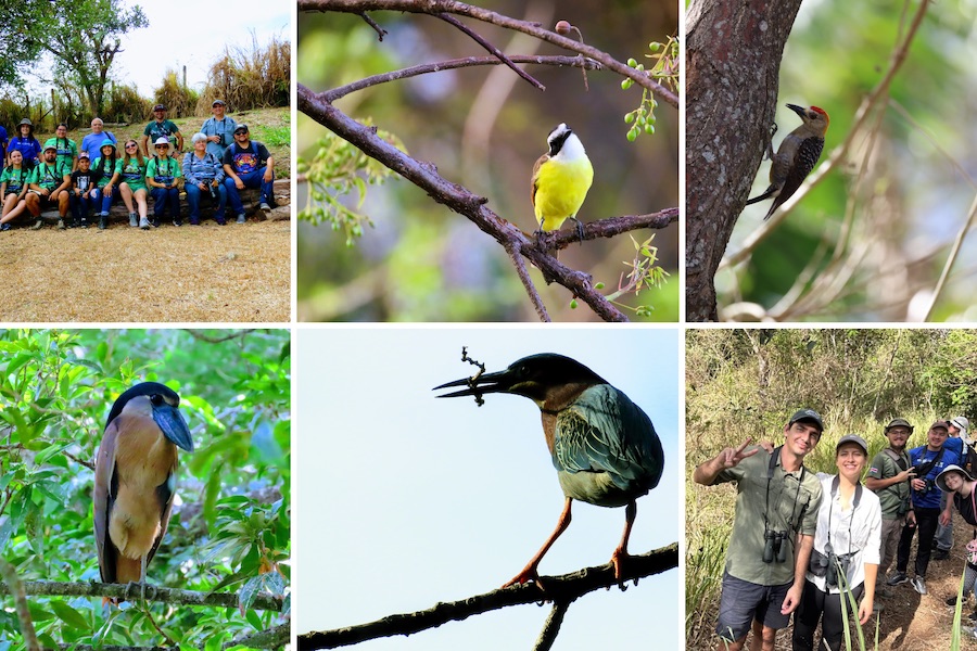 Segundo conteo de aves en las áreas verdes de FIFCO