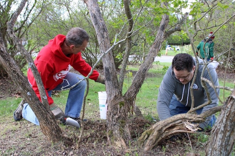 FIFCO USA celebró el Día de la Tierra con acciones voluntarias